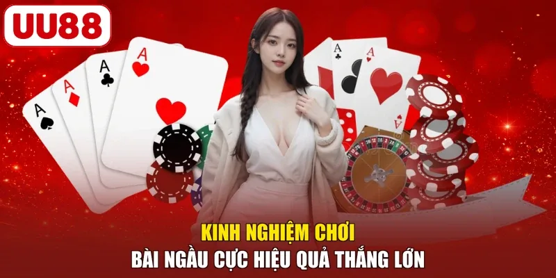Kinh nghiệm chơi bài ngầu cực hiệu quả thắng lớn