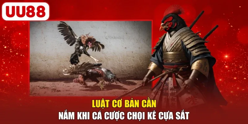 Luật cơ bản cần nắm khi cá cược chọi kê cựa sắt
